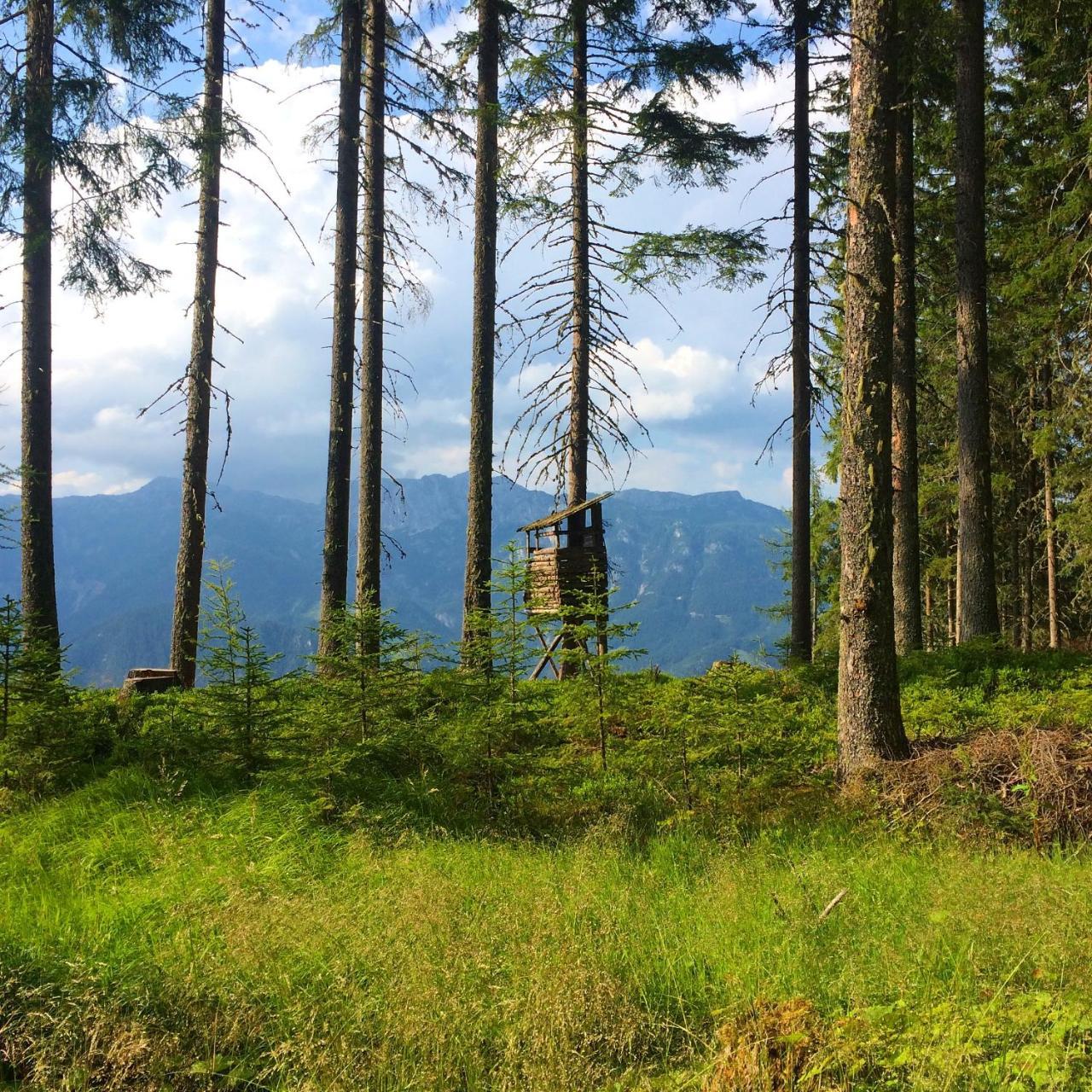 Berggasthof Scharfetter Hotel Haus im Ennstal Esterno foto